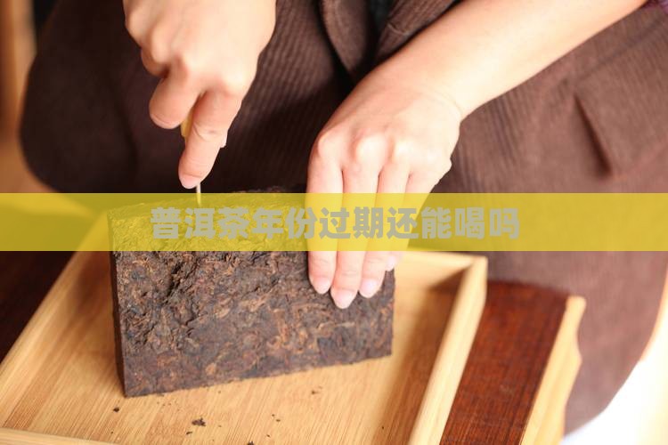 普洱茶年份过期