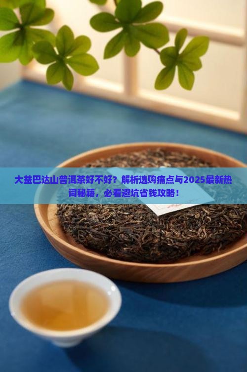 大益巴达山普洱茶好不好