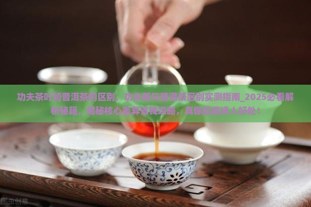 功夫茶叶和普洱茶的区别