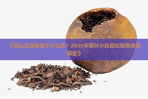 高山白露茶属于什么茶