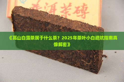高山白露茶属于什么茶
