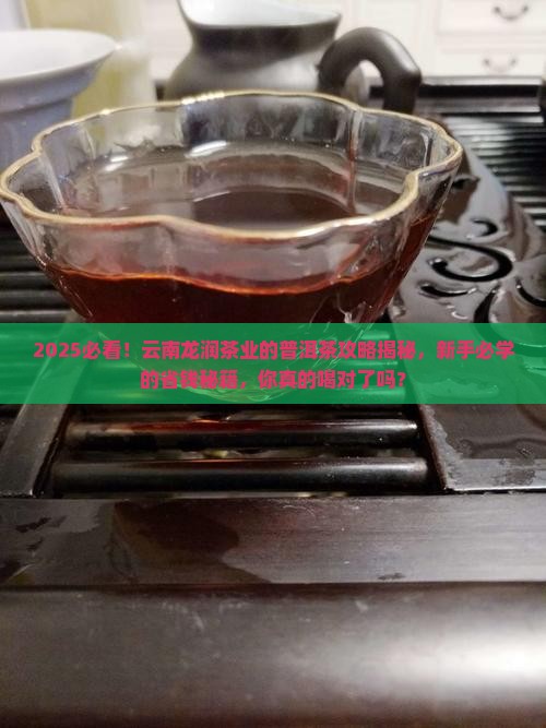 云南龙润茶业的普洱茶