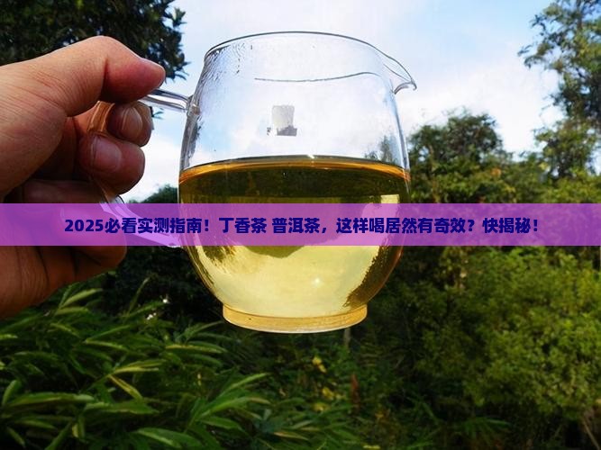 丁香茶和普洱茶能一起喝吗