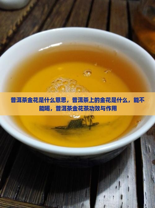 普洱茶金花是什么意思
