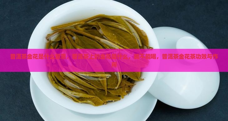 普洱茶金花是什么意思