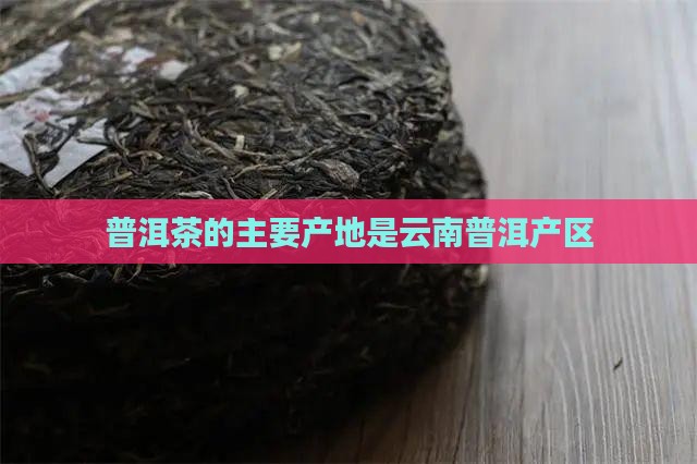 普洱茶的主产区是哪里