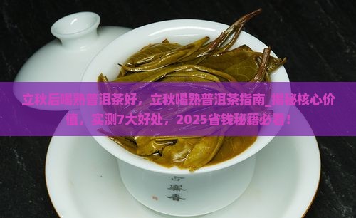 立秋后喝熟普洱茶好