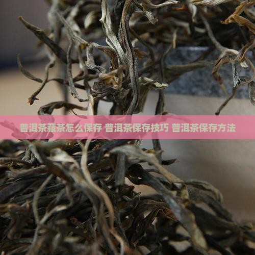 普洱茶藏茶怎么保存