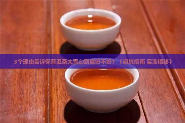 普洱茶大雪山好不好
