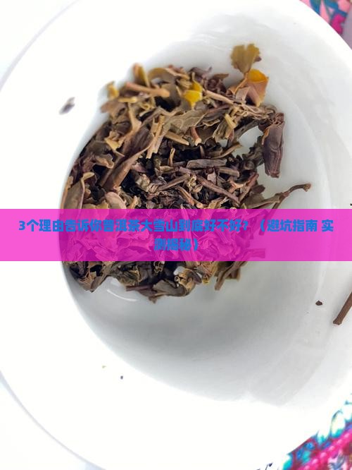 普洱茶大雪山好不好