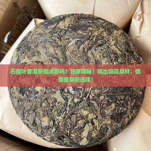 石榴叶普洱茶能减肥吗