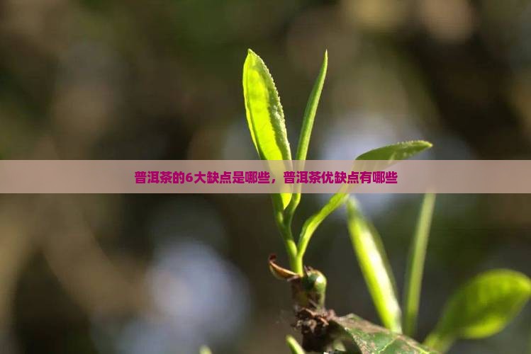 普洱茶的6大缺点是哪些