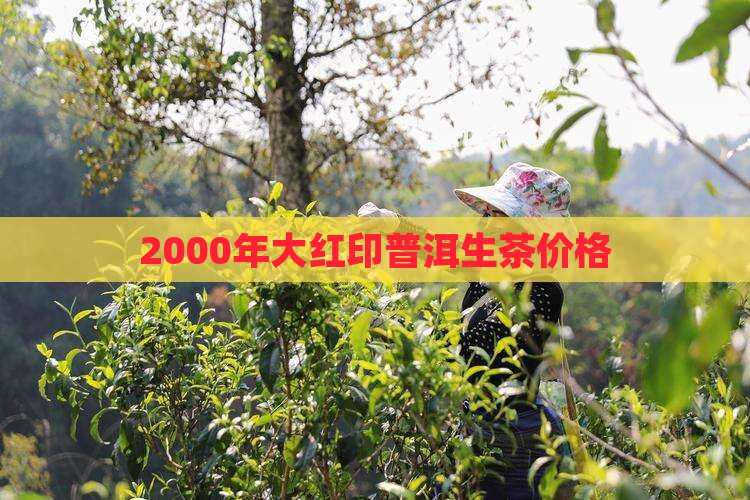 2000年大红印普洱生茶价格
