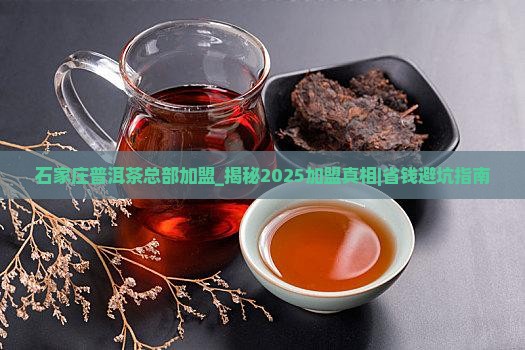 石家庄普洱茶总部加盟