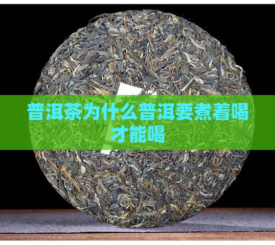 普洱茶为什么要煮熟喝才能喝