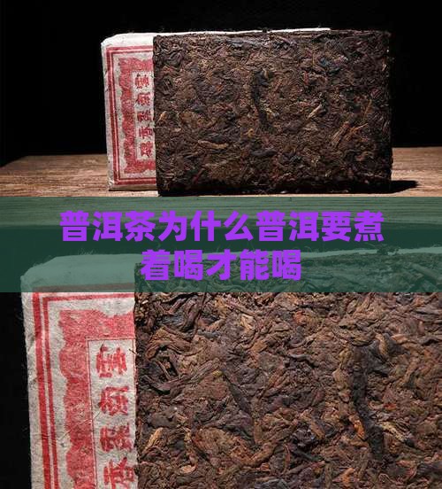 普洱茶为什么要煮熟喝才能喝