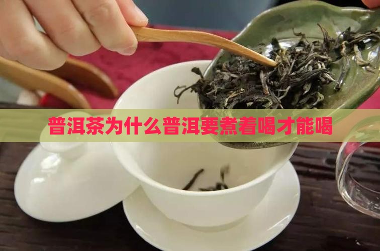 普洱茶为什么要煮熟喝才能喝