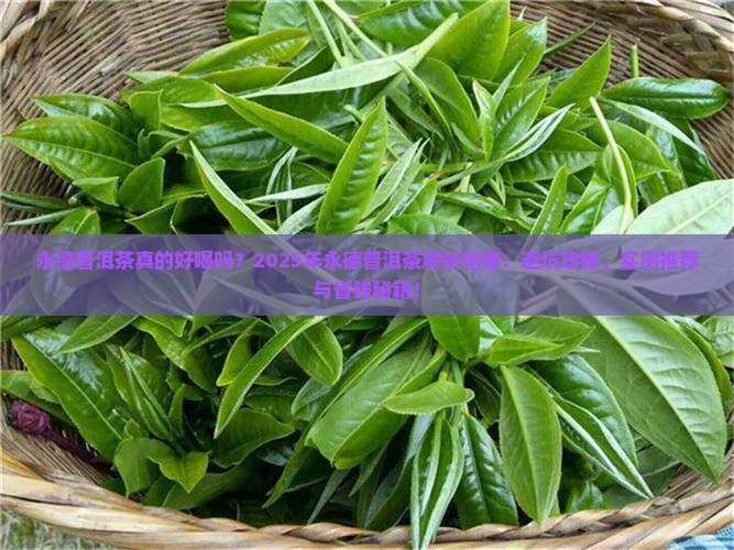 永德普洱茶怎么样好喝