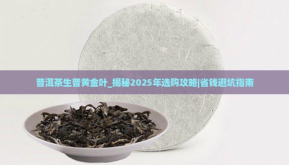 普洱茶生普黄金叶
