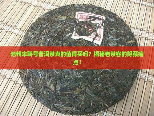 池州宋聘号普洱茶