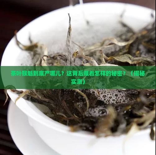 茶叶猴魁是哪里出产的