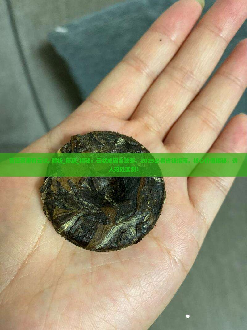 普洱茶里有云状