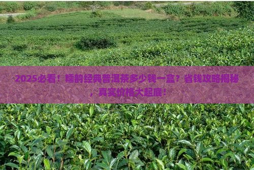 糯韵经典普洱茶多少钱一盒