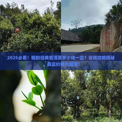 糯韵经典普洱茶多少钱一盒