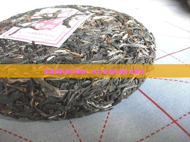 普洱茶有哪些茶叶