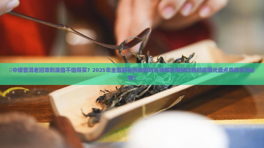 雲中媛普洱老班章