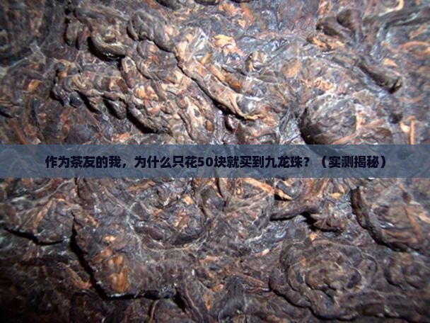 九龙上品普洱茶九龙珠