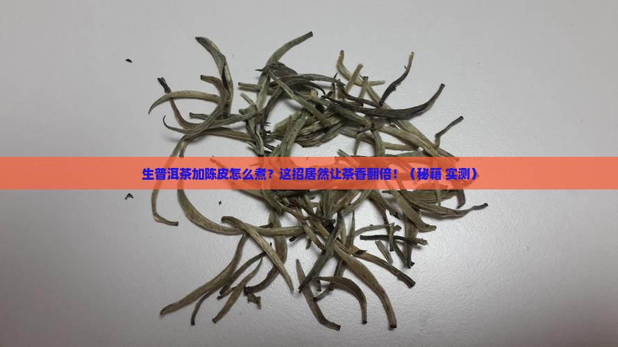 生普洱茶加陈皮如何煮