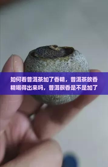如何看普洱茶加了香精