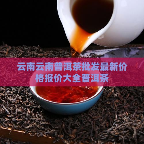 云南臻善普洱茶价格查询