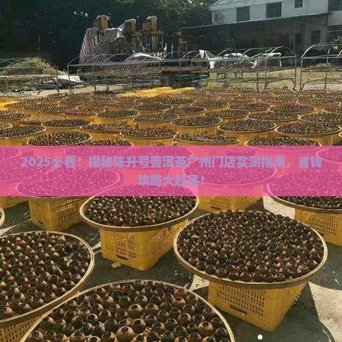 陈升号普洱茶广州门店
