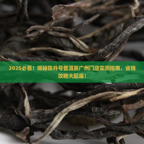 陈升号普洱茶广州门店