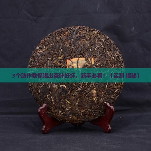 怎么能喝出茶叶的好坏