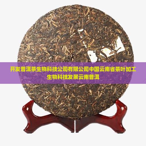 开发普洱茶生物科技公司