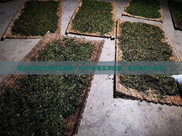 高山单丛茶价格铁盒