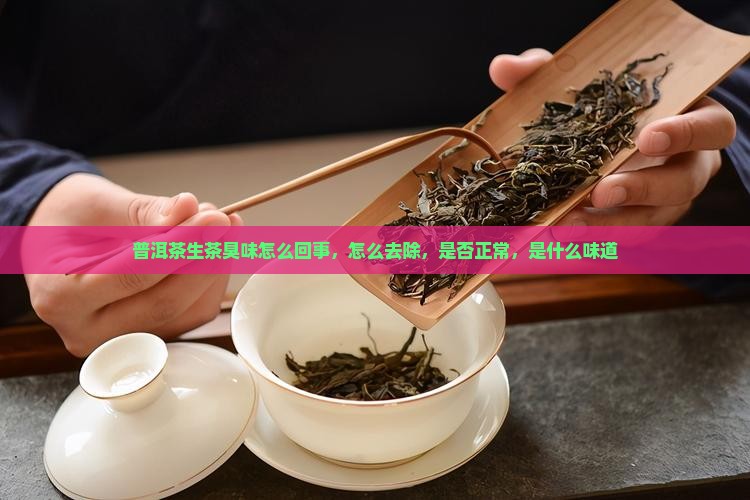 普洱茶生茶臭味