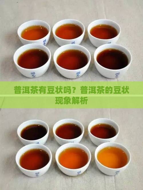 普洱茶有豆状吗