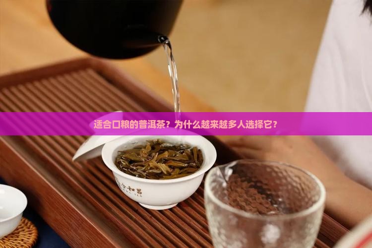 适合口粮的普洱茶
