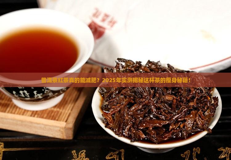 普洱茶红茶减肥效果好不