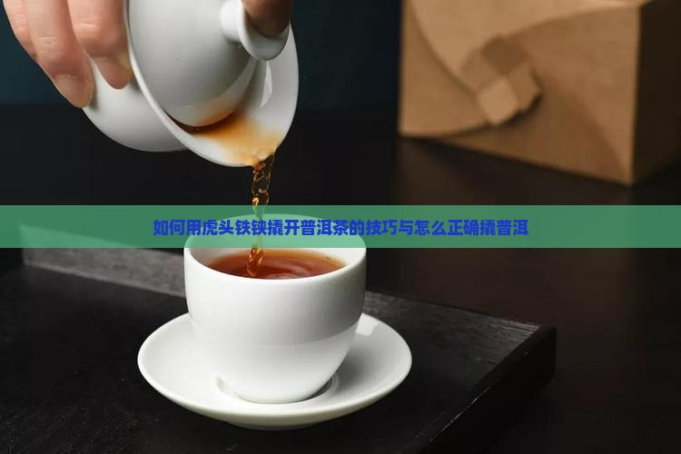 虎头铁铗如何弄开普洱茶
