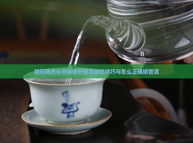 虎头铁铗如何弄开普洱茶