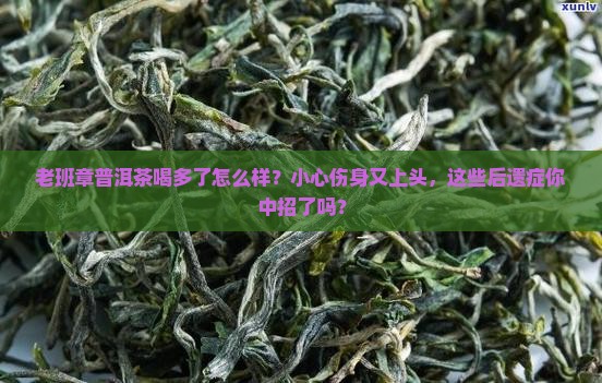 老班章普洱茶喝多了怎么样