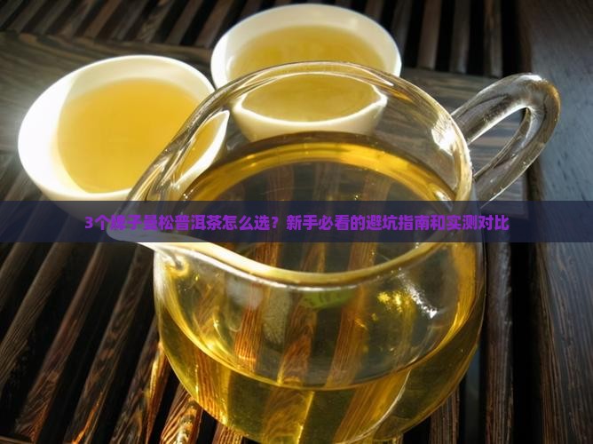 曼松普洱茶哪个牌子的好喝一点