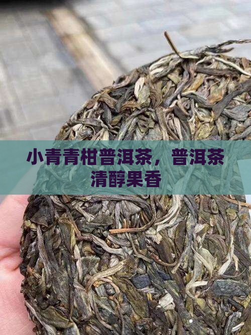 普洱茶清醇果香