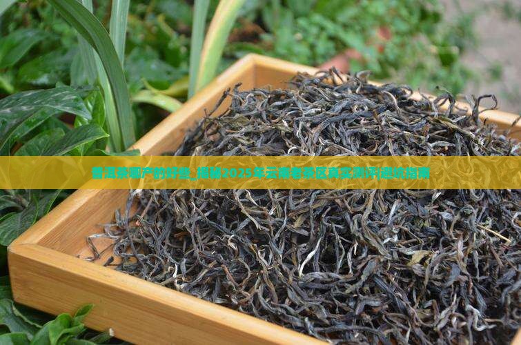 普洱茶哪产的好些