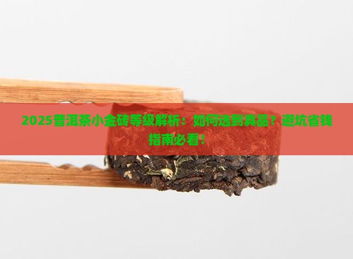 普洱茶的小金砖等级